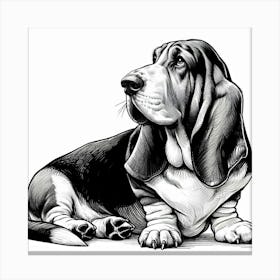 Basset hound dog 2 Canvas Print