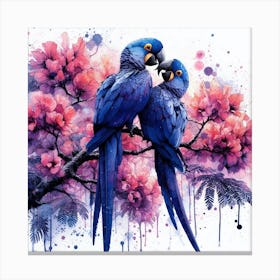 Hyacinth Macaw parrots Canvas Print