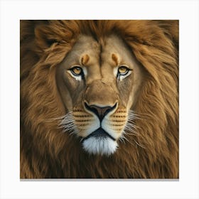 Majestic Stare Canvas Print