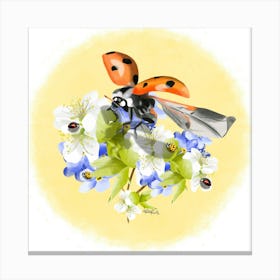 Ladybug/Coccinelle Canvas Print