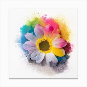 Colorful Flower Isolated On White Background Canvas Print