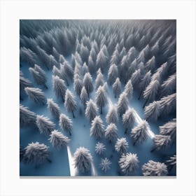 Aerial View Of Snowy Forest 18 Canvas Print