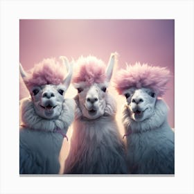 Portrait of Three Lamas With Pink Hair Canvas Print