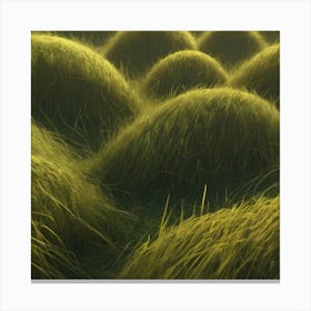 Grass Field 21 Canvas Print