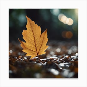 Autumn Leaf 5 Canvas Print