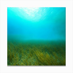 underwater nature 1 Canvas Print