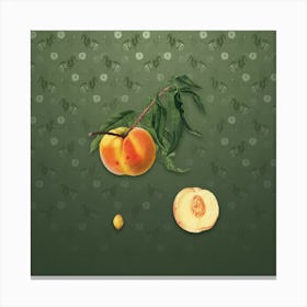 Vintage Peach Botanical on Lunar Green Pattern n.0391 Canvas Print