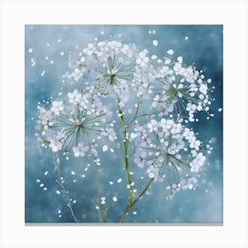 White Daffodils Canvas Print