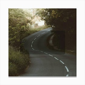 Road In The Woods Canvas Print