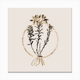 Gold Ring Lily of the Incas Glitter Botanical Illustration n.0150 Canvas Print