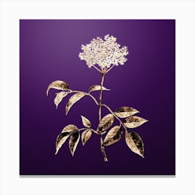 Gold Botanical Elderflower Tree on Royal Purple n.2759 Canvas Print