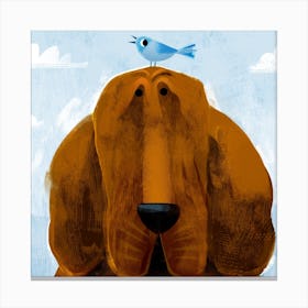 Bloodhound With Pesky Bird Square Canvas Print