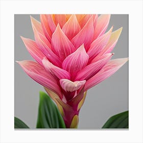 Hawaiian Flower Canvas Print