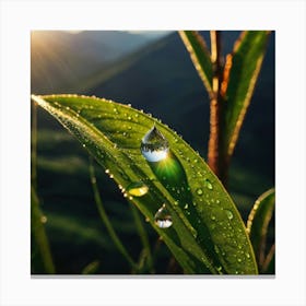 Water Droplets On A Leaf Canvas Print