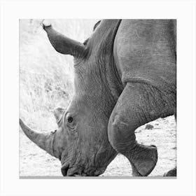 Rhino Square Canvas Print