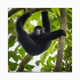 Monkey Hanging From A Tree Canvas Print