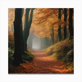 Autumn Forest Path 4 Canvas Print