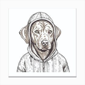 Dog In Hoodie 1 Canvas Print