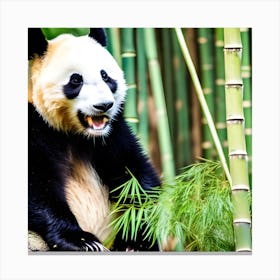 Panda Bear 11 Canvas Print