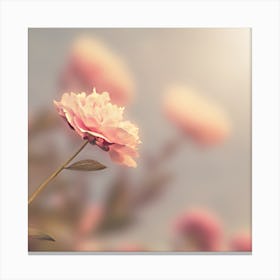 Pink Peony Canvas Print