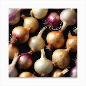 Onion Bunches 3 Canvas Print