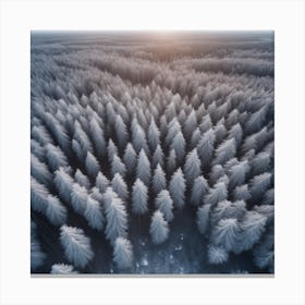 Aerial View Of Snowy Forest 7 Canvas Print