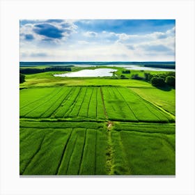 Grass Peace Air Structure Pasture Soy Bean High Country Rural Green Farm Overhead Natur (6) Canvas Print