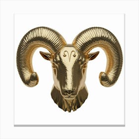 Ram Head Canvas Print