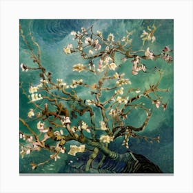 Blossoming Almond Tree 2 Canvas Print