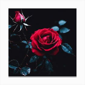 Dark Roses Canvas Print