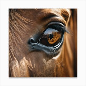 Eye Of A Horse 17 Canvas Print