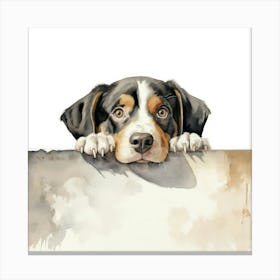 Bernese Mountain Dog 8 Canvas Print