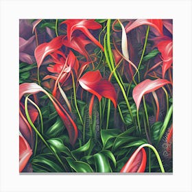 Anthurium Flowers 9 Canvas Print