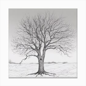 Bare Tree 9 Canvas Print