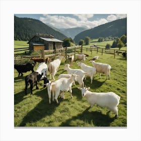 Goats In The Pasture Canvas Print