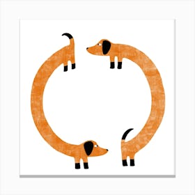 Dachshund Wiener Sausage Dog Perpetual Motion Circle Canvas Print