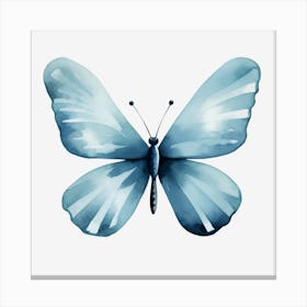 Blue Butterfly Canvas Print