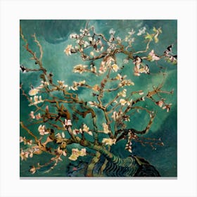 Almond Tree Canvas Print