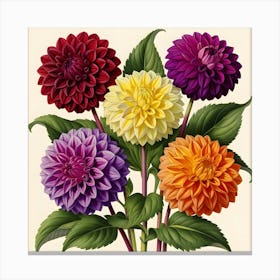 Dahlias 8 Canvas Print