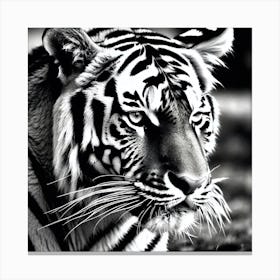 Tiger Wallpaper 4 Canvas Print