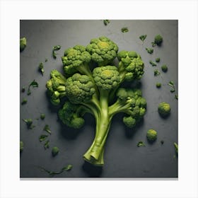 Green Broccoli On Grey Background Canvas Print