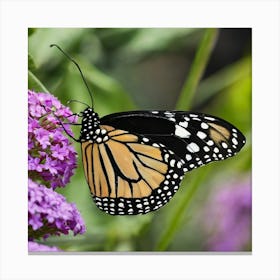 Monarch Butterfly 16 Canvas Print