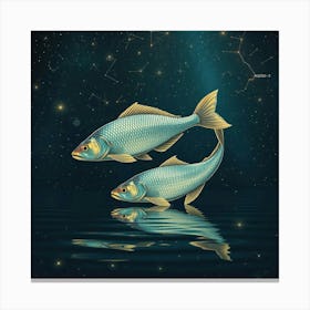 Zodiac Fish 13 Canvas Print