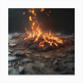 Fire In The Woods 1 Canvas Print