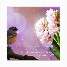 Hyacinth Canvas Print