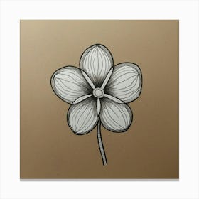 Orchid Flower Canvas Print