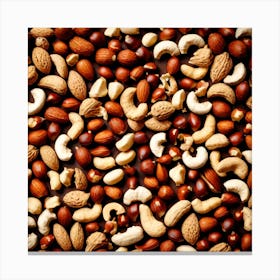 Various Nuts On A Black Background Canvas Print