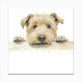 Soft Coated Wheaten Terrier Canvas Print