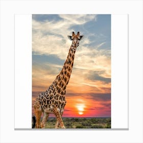 Graceful Giraffe Sunset Print Art Canvas Print