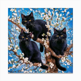 Black Cats In Blossom Tree Canvas Print